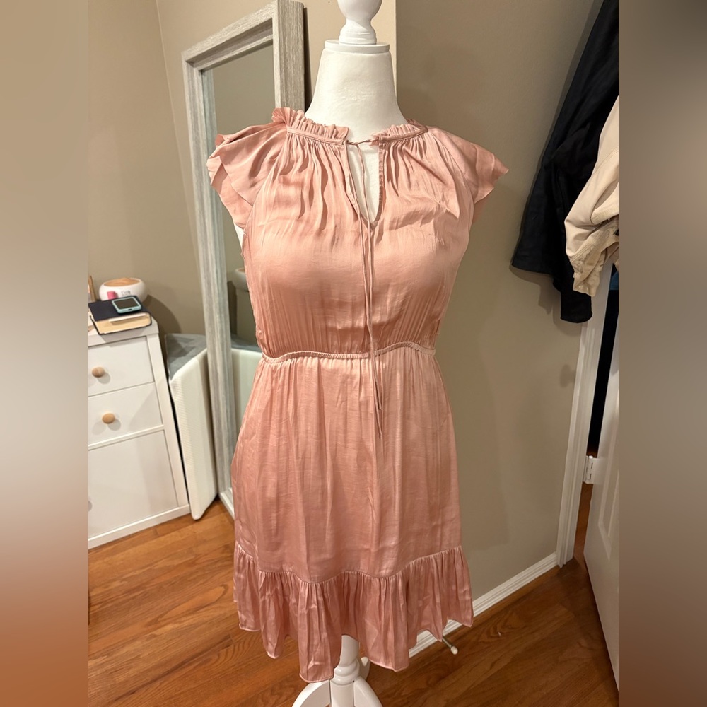Banana Republic blush  Pink Ruffle Dress size 6
